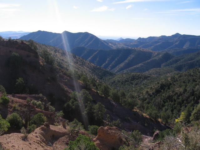 along hl canyon trail.JPG